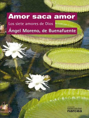 cover image of Amor saca amor